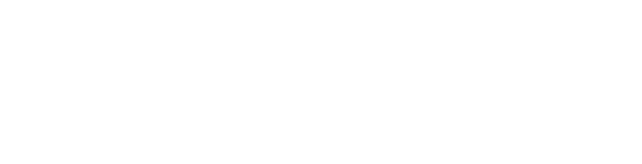 PFAU COCHRAN VERTETIS AMALA